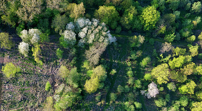BUITEN BEELD Foto: 263933
