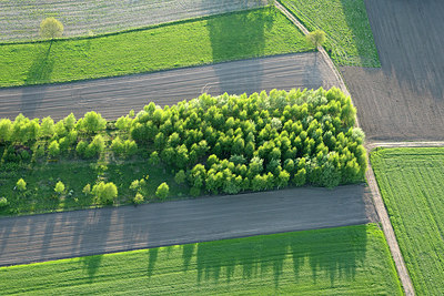 BUITEN BEELD Foto: 263976