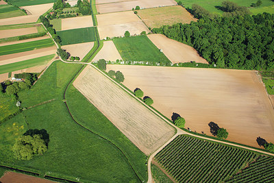 BUITEN BEELD Foto: 263984