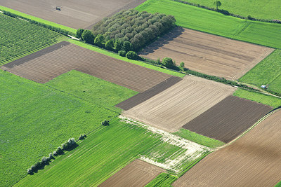 BUITEN BEELD Foto: 263992