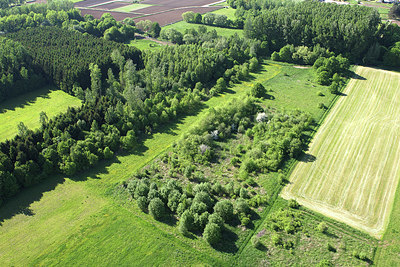 BUITEN BEELD Foto: 263997