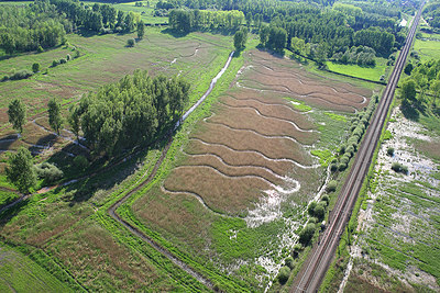 BUITEN BEELD Foto: 264010