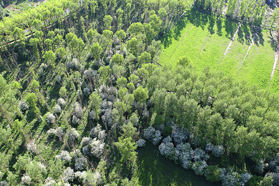 BUITEN BEELD Foto: 264035