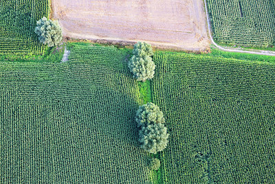 BUITEN BEELD Foto: 264099