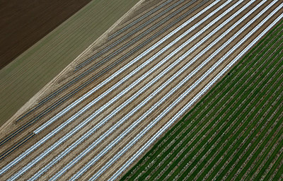 BUITEN BEELD Foto: 264104