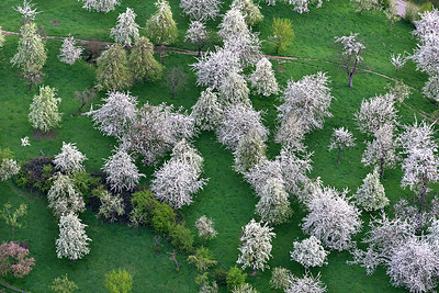 BUITEN BEELD Foto: 264121