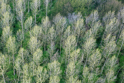 BUITEN BEELD Foto: 264134