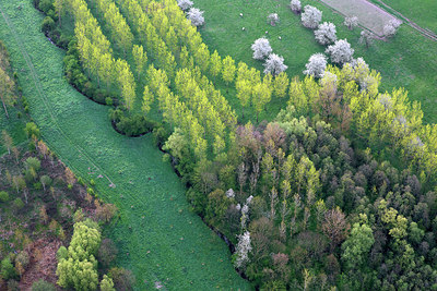BUITEN BEELD Foto: 264138