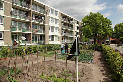 BUITEN BEELD Foto: 264144