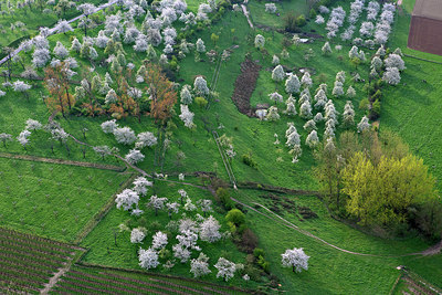BUITEN BEELD Foto: 264175