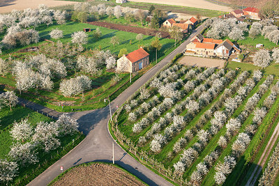 BUITEN BEELD Foto: 264200