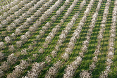 BUITEN BEELD Foto: 264201