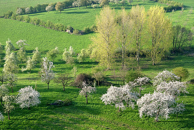 BUITEN BEELD Foto: 264216