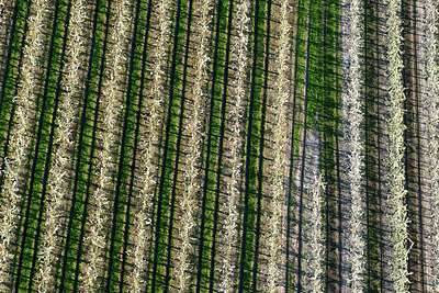 BUITEN BEELD Foto: 264220