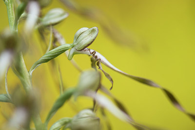 BUITEN BEELD Foto: 264274