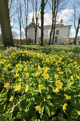 BUITEN BEELD Foto: 264284