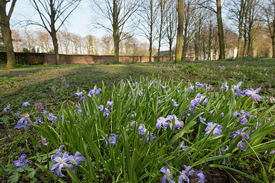 BUITEN BEELD Foto: 264298
