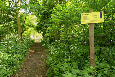 BUITEN BEELD Foto: 264302