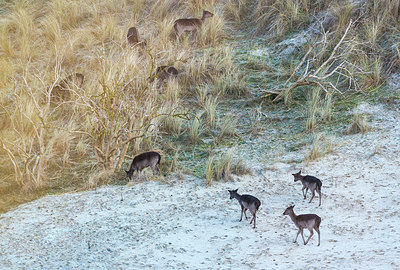 BUITEN BEELD Foto: 264395