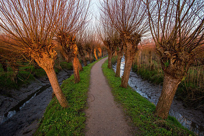 BUITEN BEELD Foto: 264435