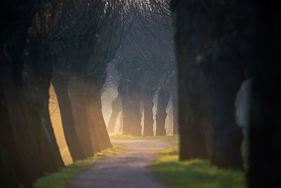 BUITEN BEELD Foto: 264440