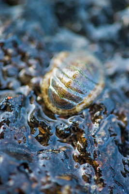 BUITEN BEELD Foto: 264460