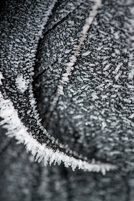 BUITEN BEELD Foto: 264522