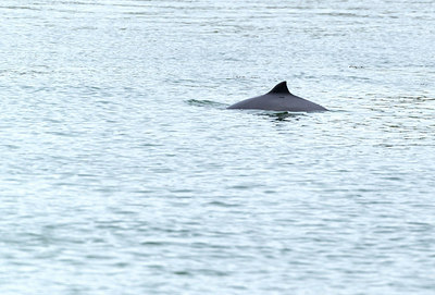 BUITEN BEELD Foto: 264542