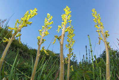 BUITEN BEELD Foto: 264564