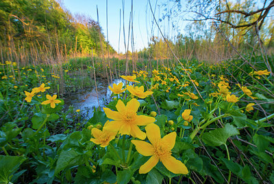 BUITEN BEELD Foto: 264571