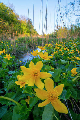 BUITEN BEELD Foto: 264573