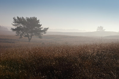 BUITEN BEELD Foto: 264638