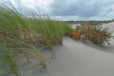 BUITEN BEELD Foto: 264672