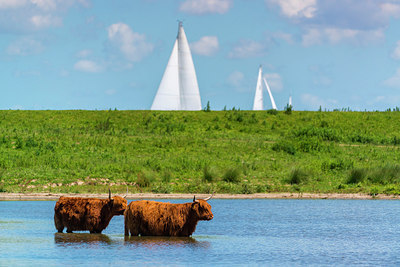 BUITEN BEELD Foto: 264694