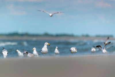 BUITEN BEELD Foto: 264707