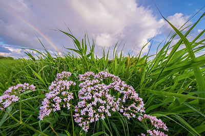 BUITEN BEELD Foto: 264752