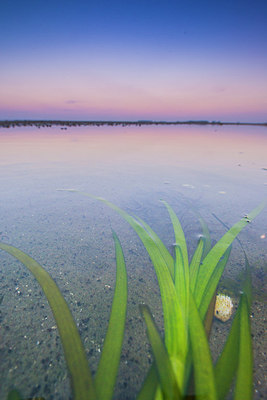 BUITEN BEELD Foto: 264754