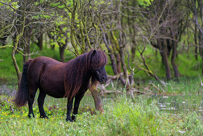 BUITEN BEELD Foto: 264757