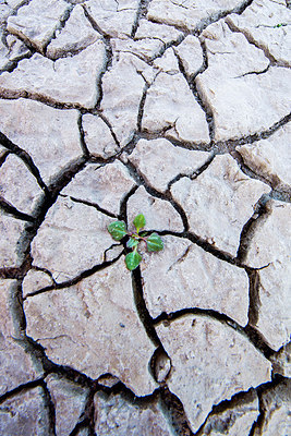 BUITEN BEELD Foto: 264763