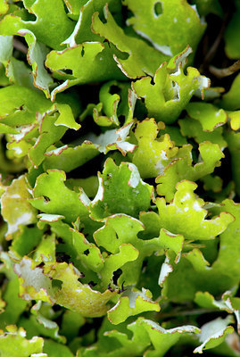 BUITEN BEELD Foto: 264781
