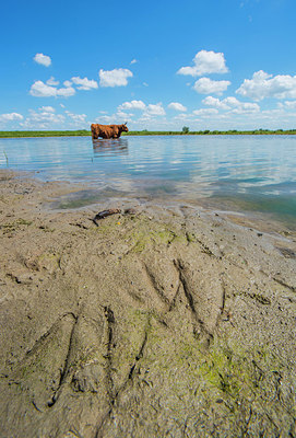 BUITEN BEELD Foto: 264859