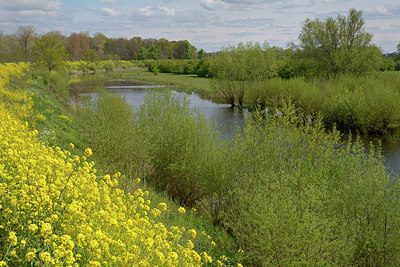BUITEN BEELD Foto: 264872