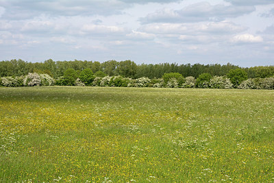 BUITEN BEELD Foto: 264873