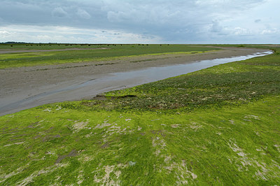 BUITEN BEELD Foto: 264880
