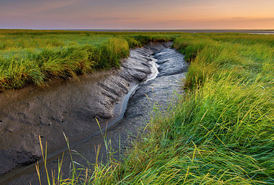 BUITEN BEELD Foto: 264931