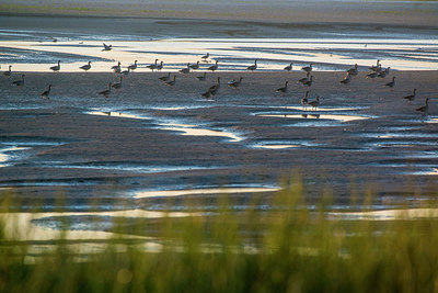 BUITEN BEELD Foto: 264951