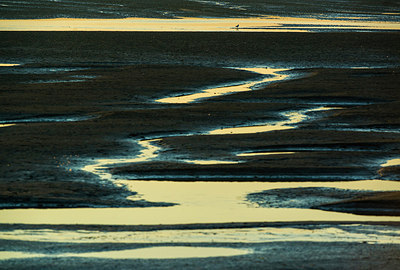 BUITEN BEELD Foto: 264993
