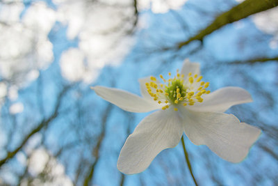 BUITEN BEELD Foto: 265004