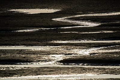 BUITEN BEELD Foto: 265008