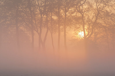 BUITEN BEELD Foto: 265100